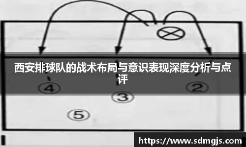 西安排球队的战术布局与意识表现深度分析与点评